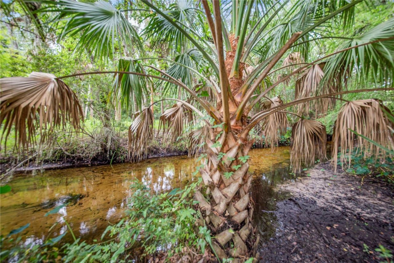 1617 Horseshoe Creek Road, Davenport, FL 33837 Photo
