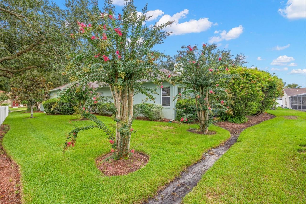 5501 Stag Thicket Lane, Palm Harbor, FL 34685 Photo