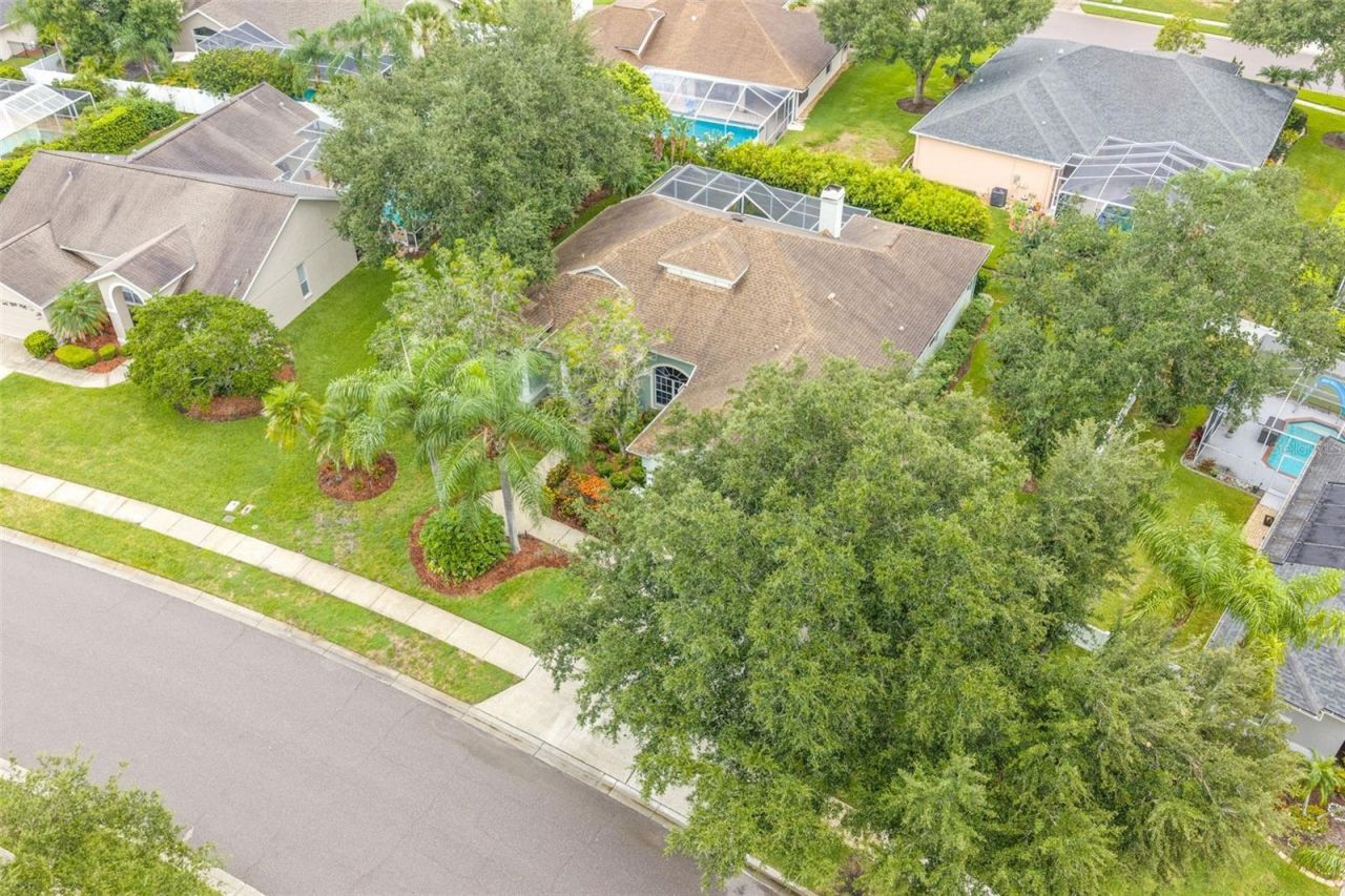 5501 Stag Thicket Lane, Palm Harbor, FL 34685 Photo