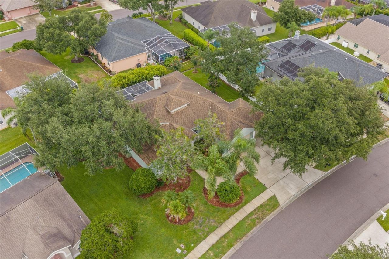 5501 Stag Thicket Lane, Palm Harbor, FL 34685 Photo
