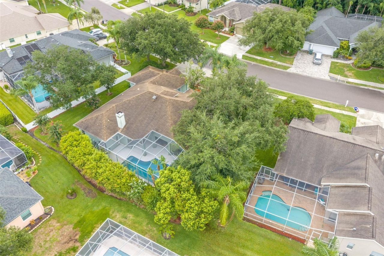 5501 Stag Thicket Lane, Palm Harbor, FL 34685 Photo