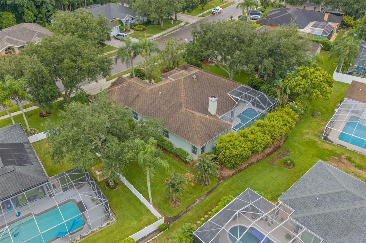 5501 Stag Thicket Lane, Palm Harbor, FL 34685 Photo