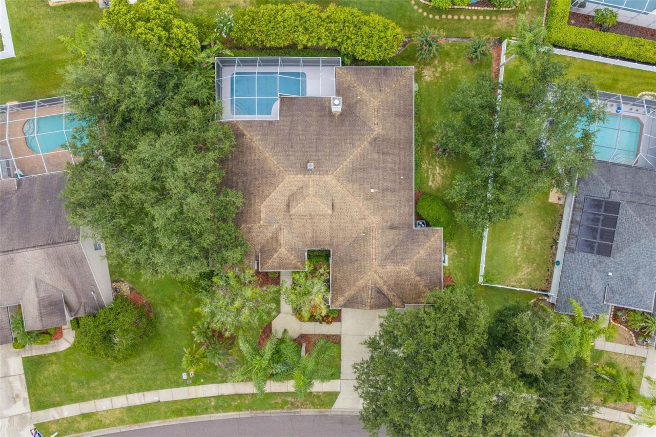 5501 Stag Thicket Lane, Palm Harbor, FL 34685 Photo