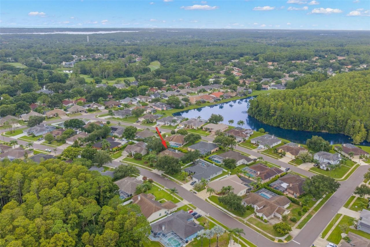 5501 Stag Thicket Lane, Palm Harbor, FL 34685 Photo