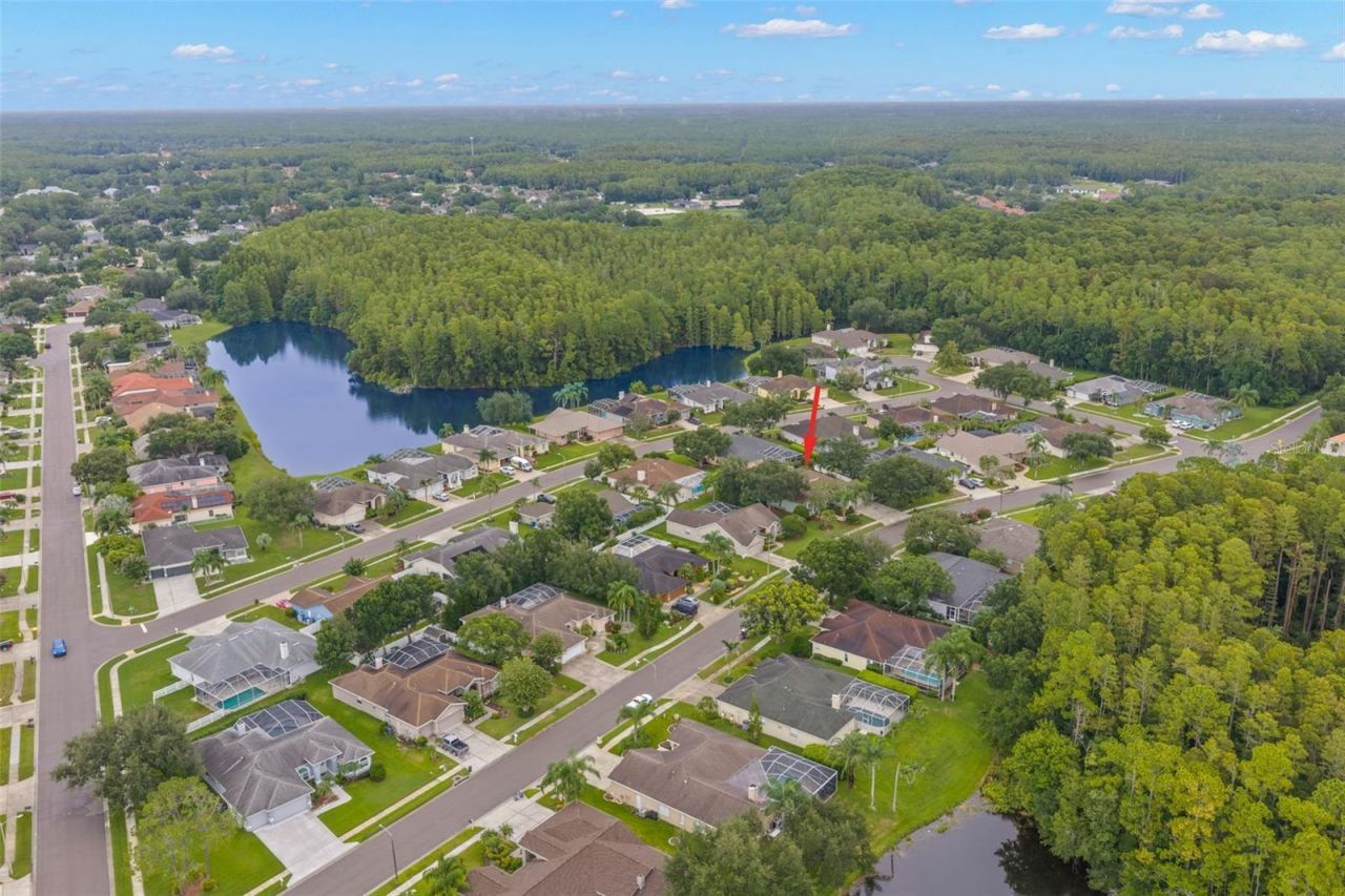 5501 Stag Thicket Lane, Palm Harbor, FL 34685 Photo