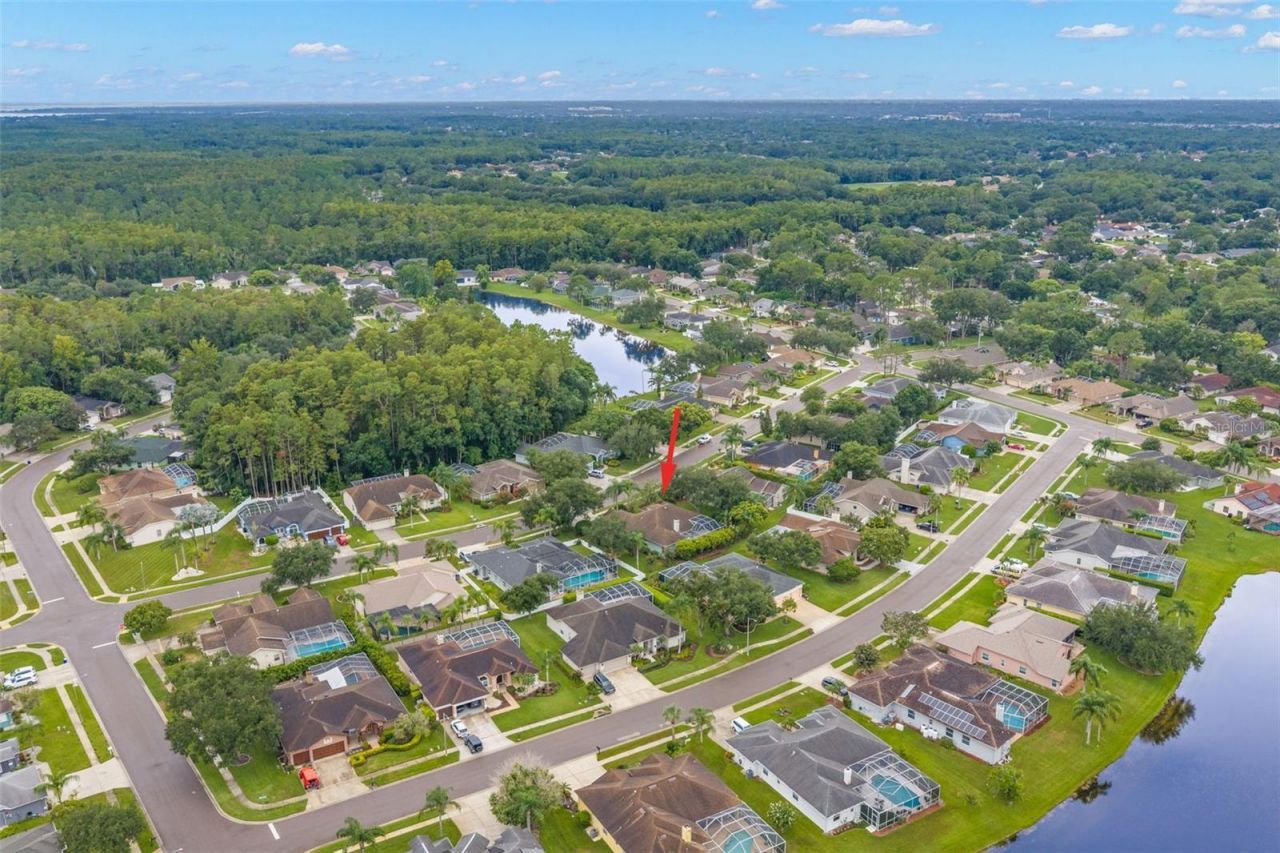 5501 Stag Thicket Lane, Palm Harbor, FL 34685 Photo
