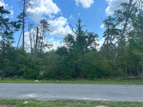 8191 N FEATHER AVENUE , CITRUS SPRINGS, FL 34433