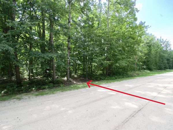 Valleyview Drive, Mancelona, MI 49730