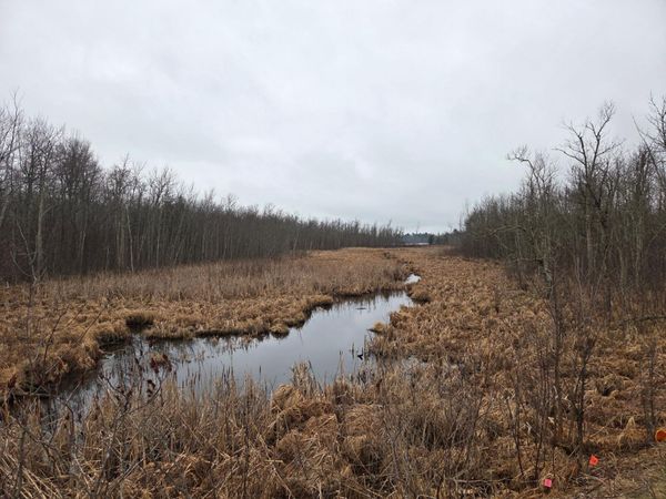 TBD County 11 , Longville, MN 56655