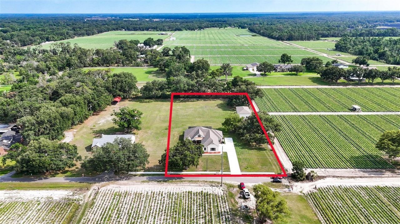 5319 W Trapnell Road, Dover, FL 33527 Photo