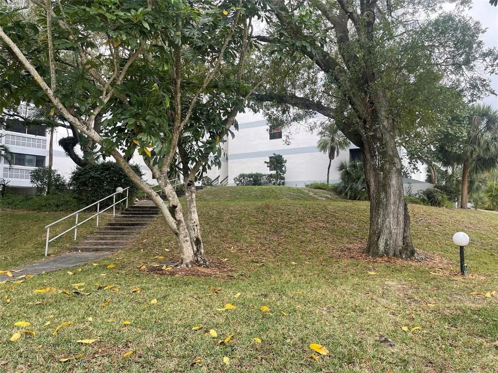 3301 Spanish Moss Terrace, Unit 610, Lauderhill, FL 33319 Photo