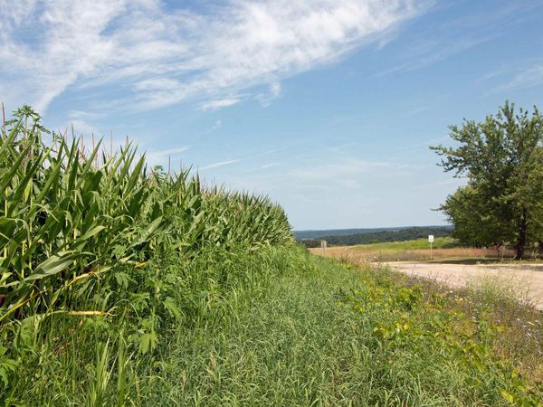 13.2 Acres County Hwy H, Ridgeway, WI 53582