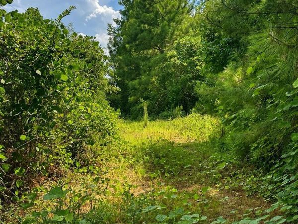 Scr 11a , Bay Springs, MS 39422