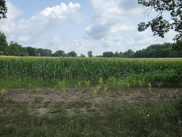 Q Drive South (parcel 1), Burlington, MI 49029