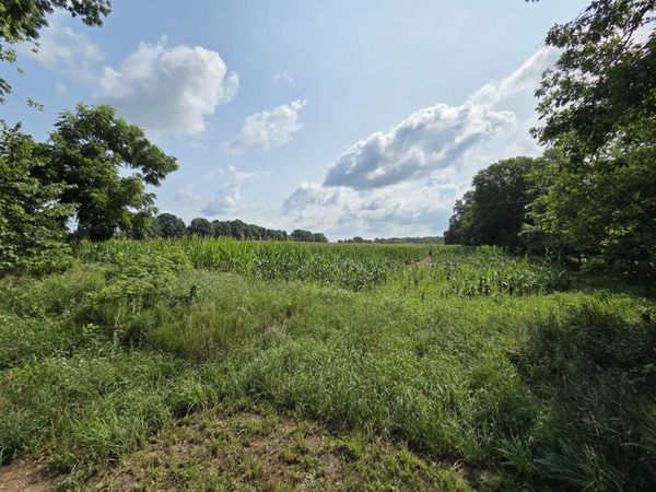 13 Mile Rd (parcel 5), Burlington, MI 49029