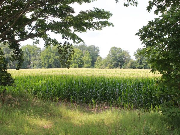 P Drive S (parcel 4), Burlington, MI 49029