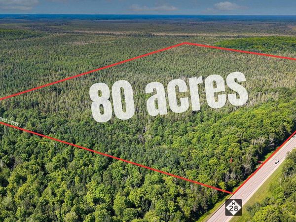 TBD M-28 Highway, Columbus Twp, MI 49853