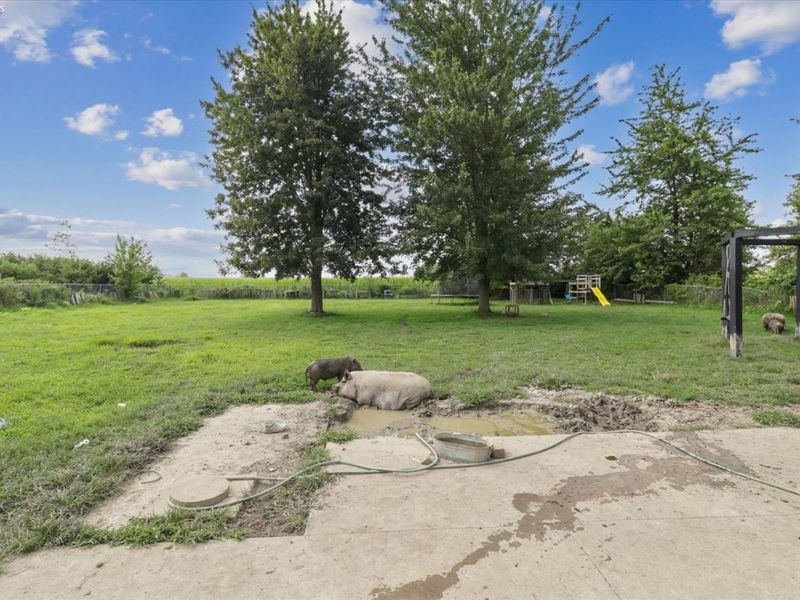14230 W Court, Rocky Ridge, OH 43458 Photo 26