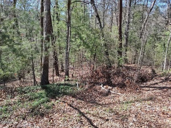 Lot 10 John Boy Trail, Sevierville, TN 37862