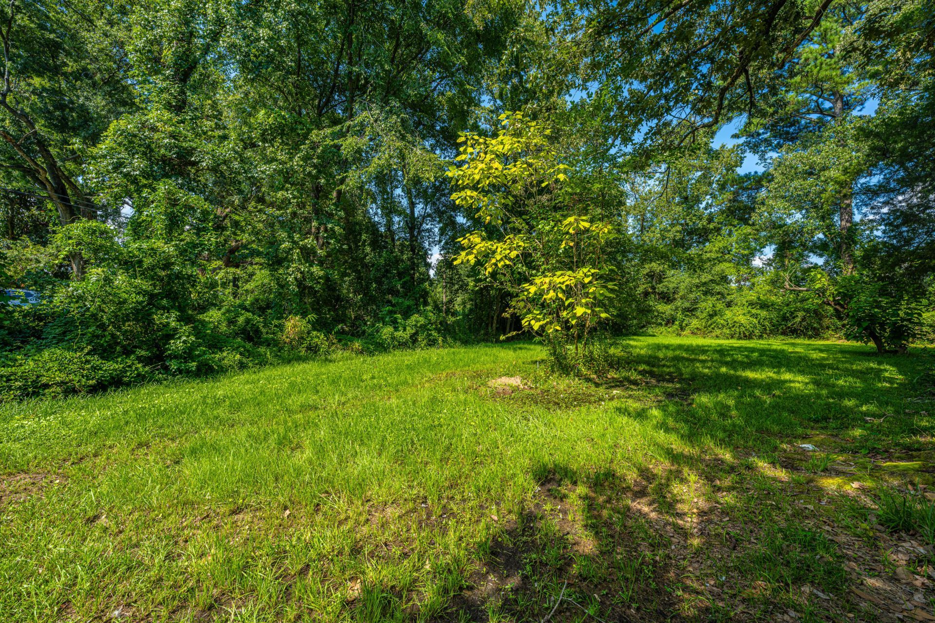 716 Orleans Road Photo 20