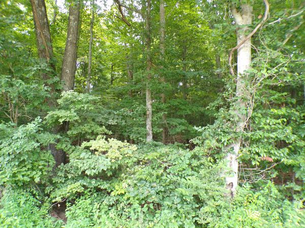 0 S Co Rd 350 W Boulevard, Paoli, IN 47454