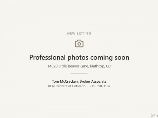 14820 Little Beaver Lane, Nathrop, CO 81236