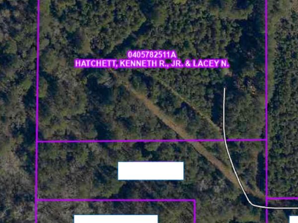 TBD Scott Road (Tract 4), Leesville, LA 71446