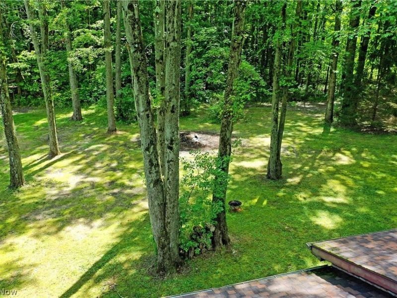 4750 Durst Clagg Road , Cortland, OH 44410 Photo 4
