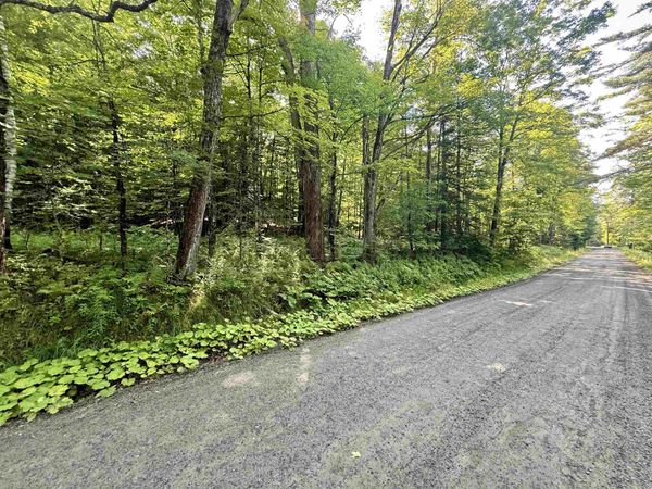 000 Old Man Mountain Road, Unit Lot # 6 (on Plan of Land, St. Johnsbury, VT 05819