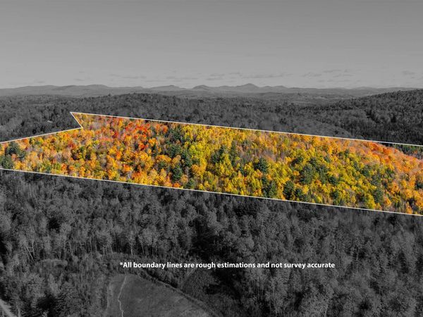 000 Old Man Mountain Road, Unit Lot # 6 (on Plan of Land, St. Johnsbury, VT 05819