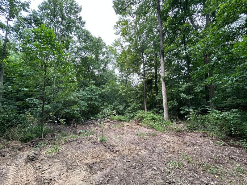 0 Staats Road , Howard, OH 43028 Photo 6