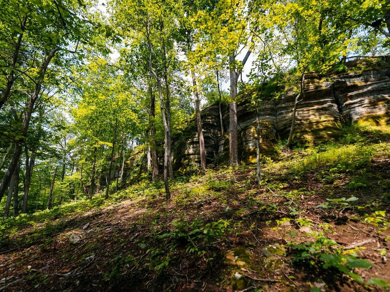 12089 Cantwell Cliffs Road , Rockbridge, OH 43149 Photo 87