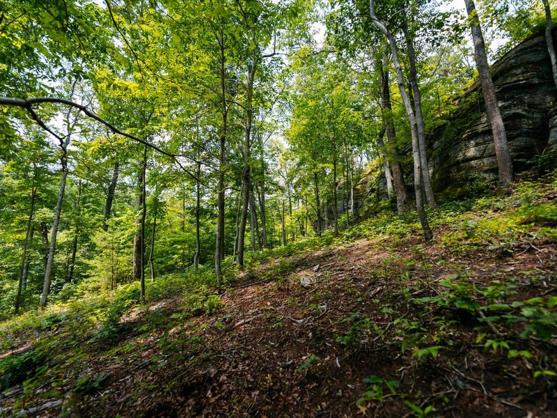 12089 Cantwell Cliffs Road , Rockbridge, OH 43149 Photo 88