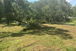 336 Drayton Street photo 4