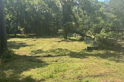 336 Drayton Street photo 4
