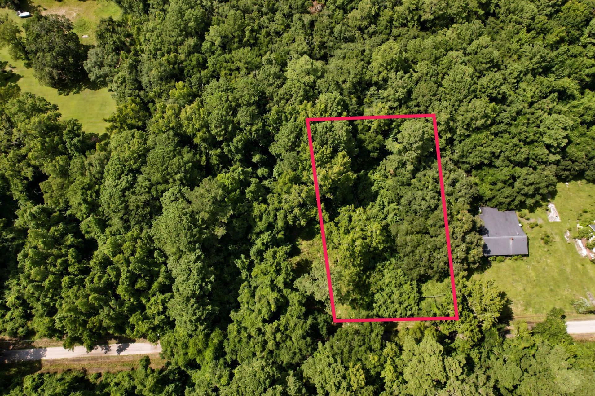 336 Drayton Street Photo 4