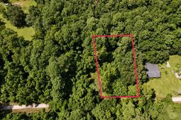 336 Drayton Street photo 4
