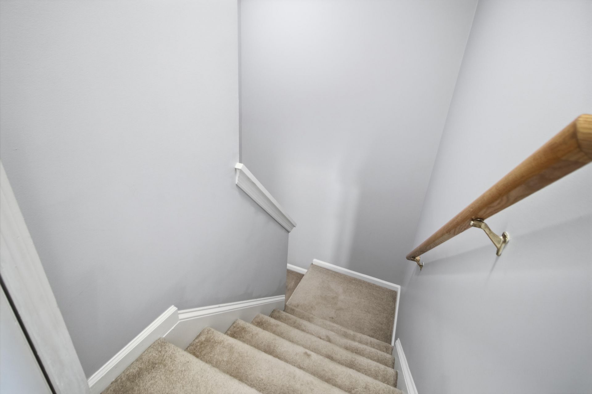 1205 Catbird Court Photo 36
