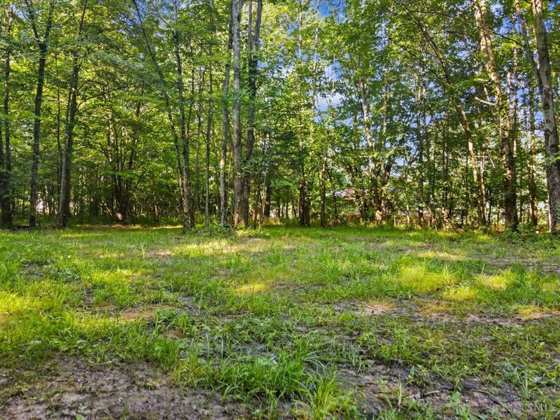 0 Patterson Road, Tate Twp, OH 45106 Photo 5
