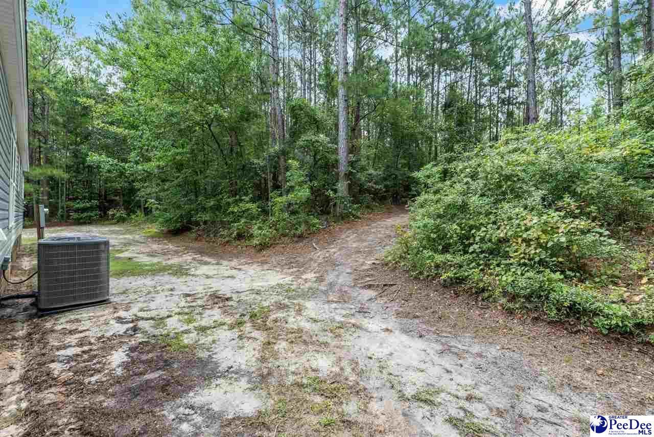 1629 Old Stagecoach Road Photo 23