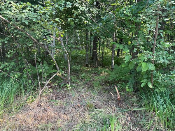 TBD Woodstock Road, Sturgeon Lake, MN 55783