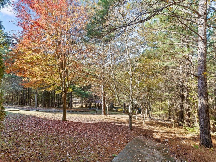 Property Image 50