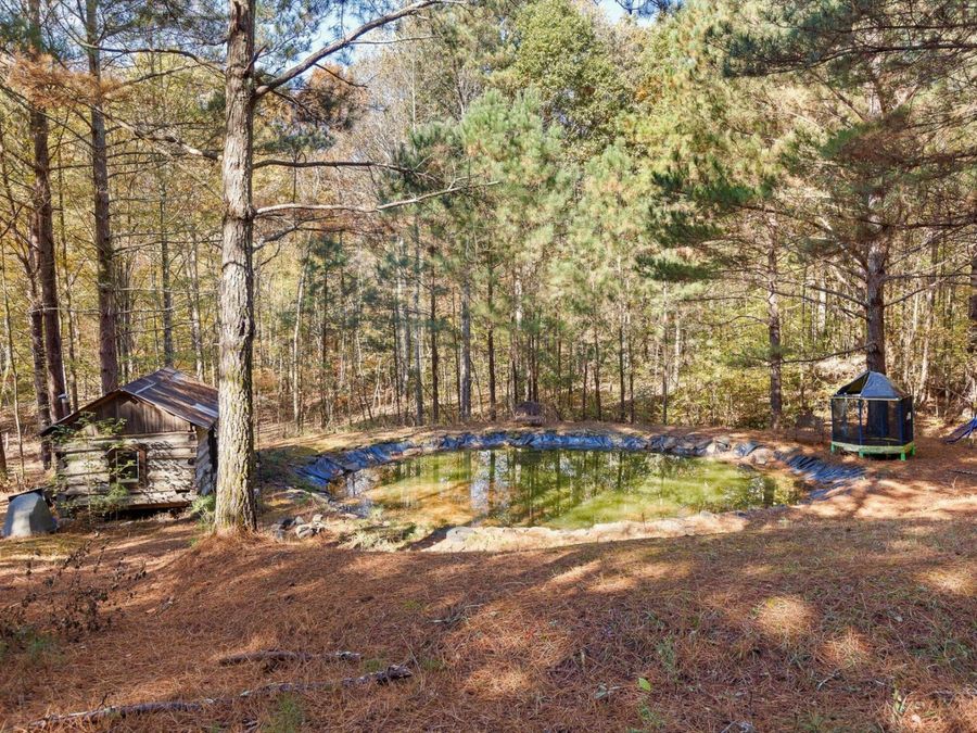 Property Image 53