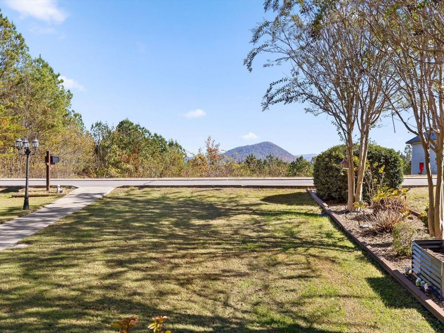 Property Image 58