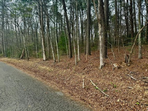 0 Tennessee 68 , Turtletown, TN 37391