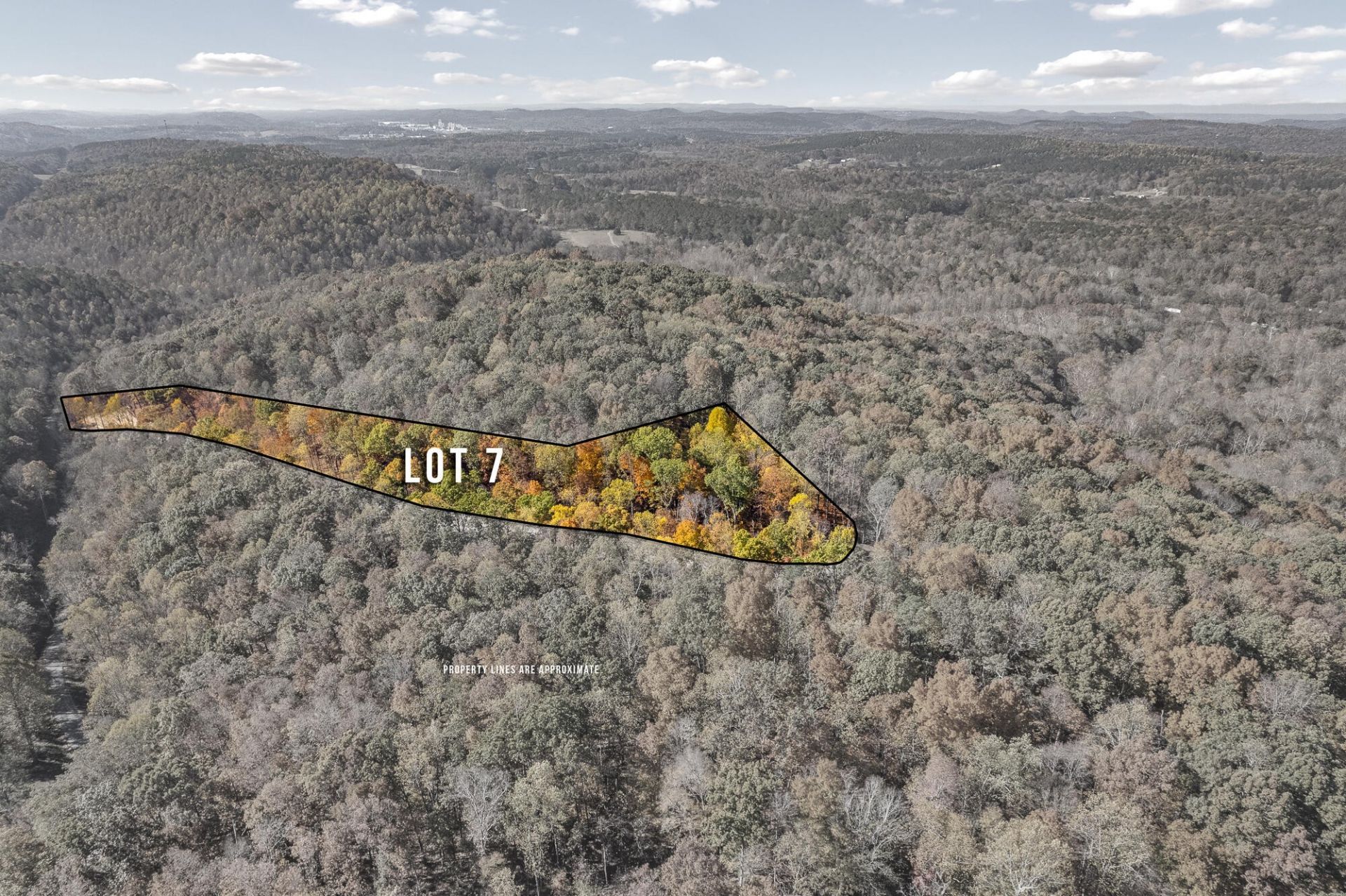 7 County Road 29, Lot #7, Riceville, TN 37370 Main Photo