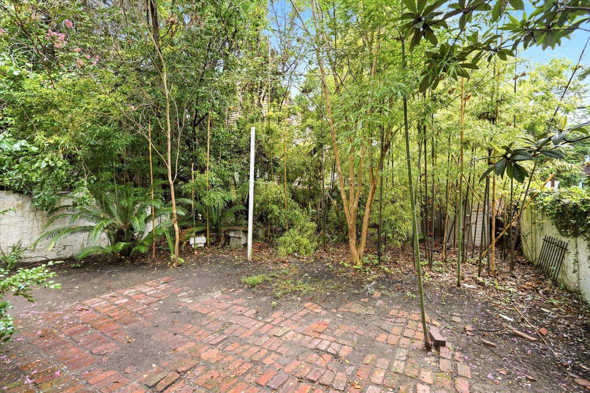 96 Bogard Street Photo 35