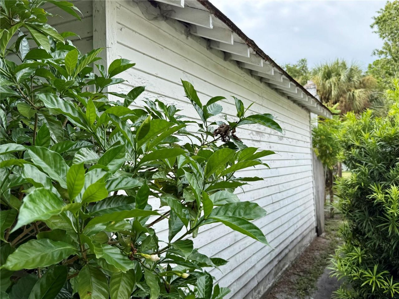 766 51st Avenue N, Saint Petersburg, FL 33703 Photo
