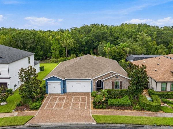 31321 DRISCOLL DRIVE , WESLEY CHAPEL, FL 33543