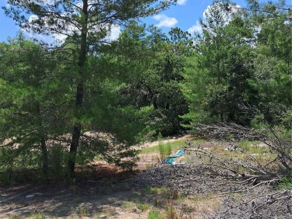 0 SW 65 AVE ROAD , OCALA, FL 34473